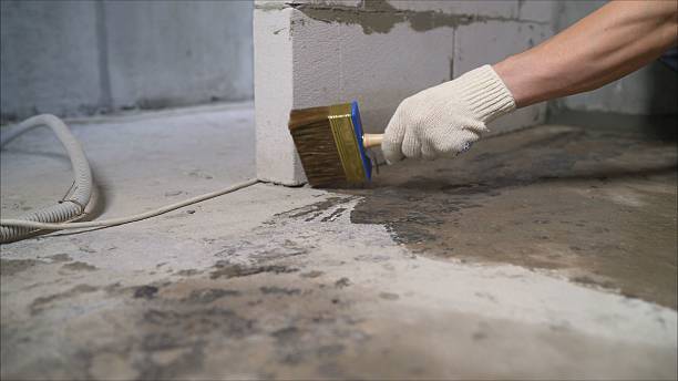 SJ Waterproofing Pros Waterproofing coverage map for Nottawa, MI and surrounding area